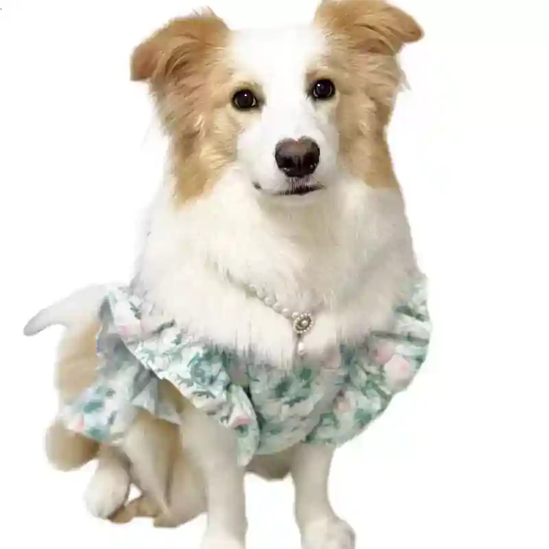 Summer Dog Clothing - Pakaian Hewan Peliharaan Musim Semi dan