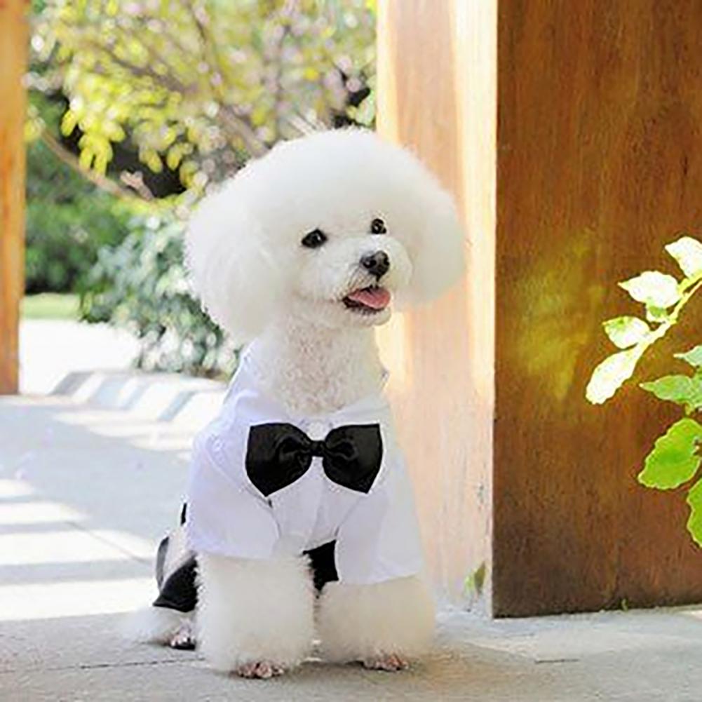 Summer Dog Clothing - Setelan dasi kupu-kupu anjing kostum Tuxedo