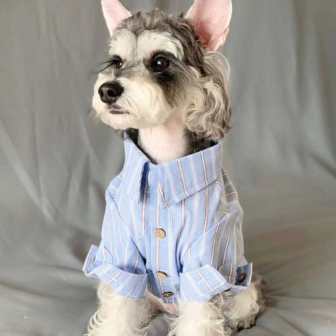 Pakaian hewan peliharaan anak  - Summer Dog Clothing ulasan dan harga