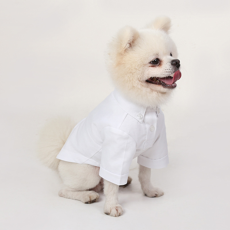 Kemeja Dalaman hewan peliharaa - Summer Dog Clothing ulasan dan harga