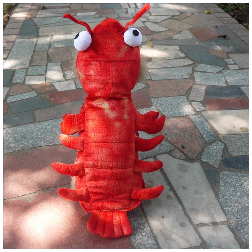 Pakaian Lobster untuk Anjing K - Summer Dog Clothing ulasan dan harga