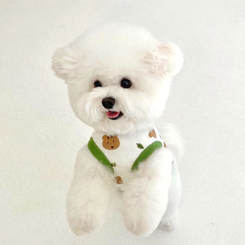 Pakaian anjing peliharaan anak - Summer Jumper Clothing ulasan dan harga