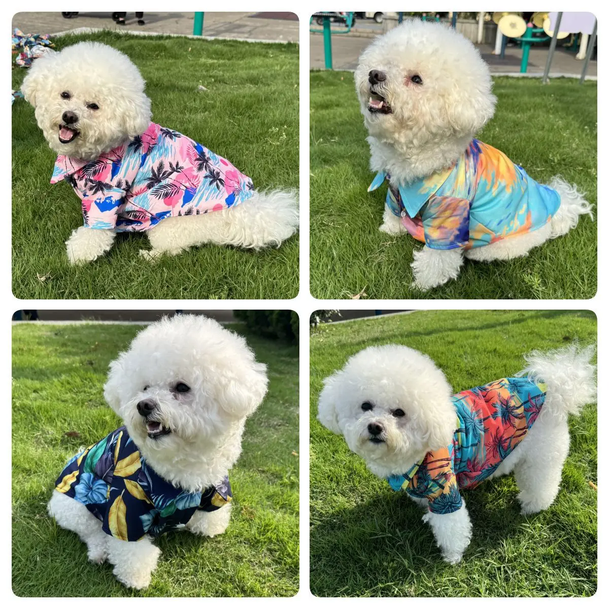 Kemeja Hawaii Pakaian Pantai u - Summer Dog Clothing ulasan dan harga