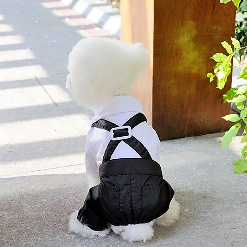 Setelan dasi kupu-kupu anjing  - Summer Dog Clothing ulasan dan harga
