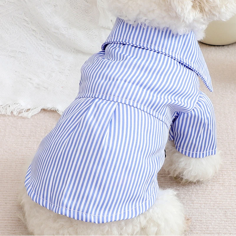 Pakaian anjing peliharaan keme - Summer Dog Clothing ulasan dan harga