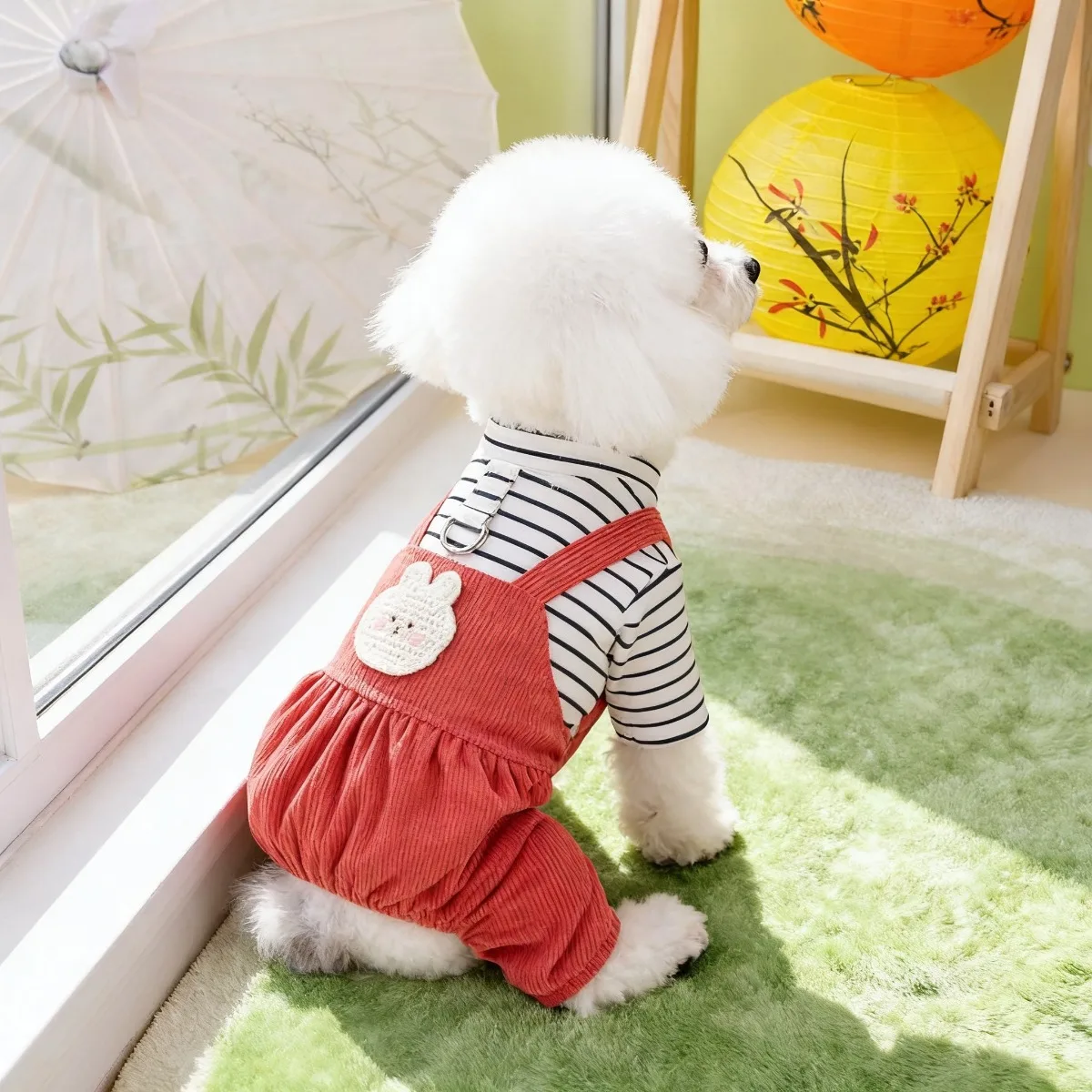 Pakaian Hewan Peliharaan, Paka - Summer Days Clothing ulasan dan harga